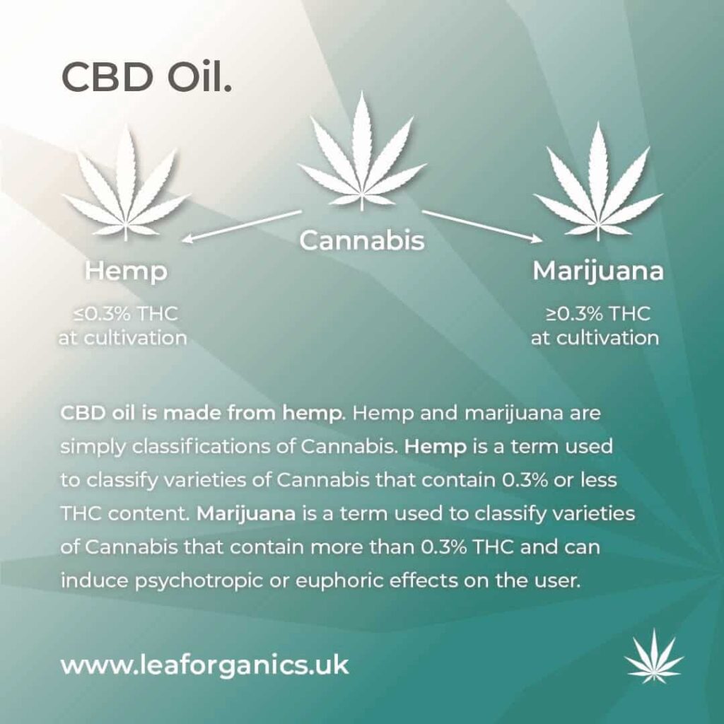 What is CBD made from