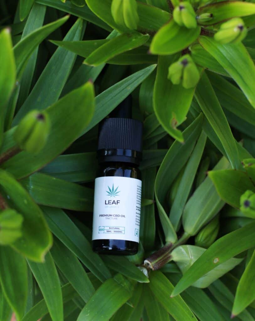 CBD oil